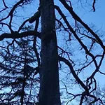 Leonie Prázdninový dům Walscheid