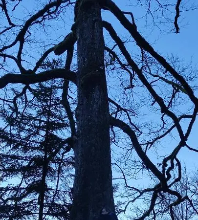 Leonie Σπίτι διακοπών Walscheid