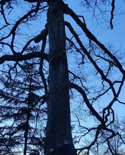 Léonie Casa vacanze Walscheid